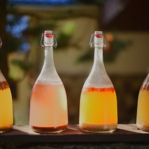 Курс «Энзим био-баланс»